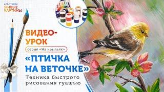 «Птичка на веточке». Как быстро и легко рисовать гуашью. Техника для начинающих