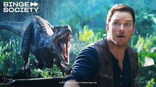 Jurassic World: El Reino Caído | Rastreando a Blue