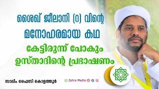 ശൈഖ് ജീലാനി (റ) വിന്റെ മനോഹരമായ കഥ കേട്ടിരുന്ന് പോകും ഉസ്താദിന്റെ പ്രഭാഷണം I Salim Faizy New Speech