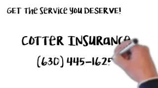 Harry Cotter Insurance in Glen Ellyn Illinois