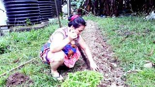 Chuuk Micronesia Gardening time, by Ate Yenyen