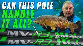 Pole fishing for big carp and silvers | Maver MV-R3 pole review