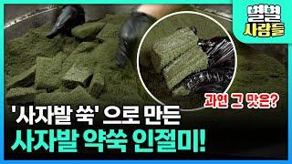 강화 특산품만 쓰는 떡집, 향기가 일품인 강화 사자발 쑥 가루로 만든 '사자발 약쑥 인절미'의 맛은? [ 별별사람들 ] 20230913