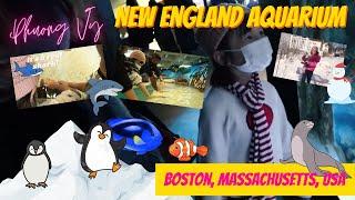 "Boston and the New England Aquarium" Phuong Vy Family Adventure - Phuong Vy Vlog