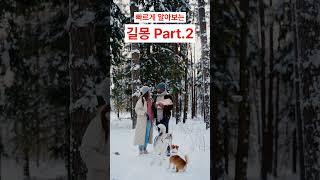꿈 해석에 대한 모든 것!! 길몽이 주는 신호 2번째 이야기 / 행복백서가 들려주는 꿈이야기 속으로 놀러오세요. #해몽 #꿈해석 #길몽