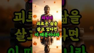 자식이 괴로운 삶을 살고 있다면 이것때문이니라 #부처님말씀 #자식운명 #부모공덕 #불교명언 #마음공부