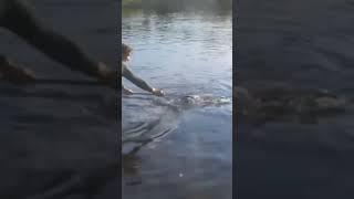 Размотала всю бобину! Но мы её всё-таки вытащили!#рыбалка #fishing #shots