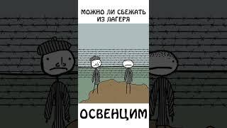 "Можно ли было сбежать из лагеря Освенцим? #побег #лагерь #шортс #сэмонелла #авызналиэто