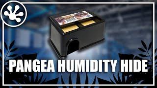 Pangea Reptile Humidity Hide Box