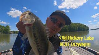 Old Hickory Lake  Bass Fishing/Tips/Tricks/ How to catch big bass to win Bass Tournaments