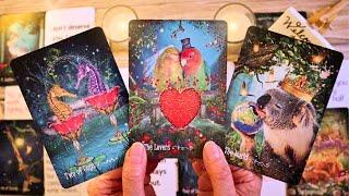 SOMEONE REALLY LOVES YOU AND WANTS TO TALK!!! ️️ LOVE TAROT READING