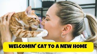 How To Introduce A Cat To A New Human Environment - Cats Knowhow