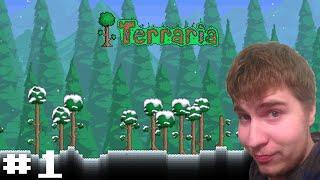 Terraria - Karma Deaths S1E1