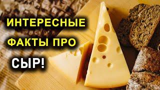 ИНТЕРЕСНЫЕ ФАКТЫ ПРО СЫР!