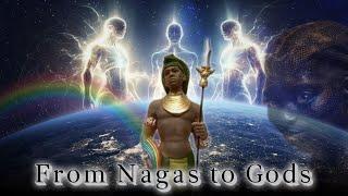 From Nagas to Gods