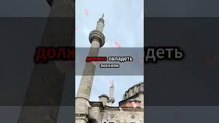 Обязанность приобретать знания в Исламе #ПриобретениеЗнаний #ЗнанияВИсламе #ОбязанностьИслама