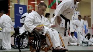 Disability Karate Federation