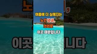 여름에 더 심해지는 노인냄새, 의외로 이곳 때문입니다. #지혜 #명언 #좋은글 #인생조언