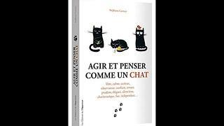 Livre : " Agir et penser comme un chat " - ou comment s'inspirer de son chat pour mieux vivre