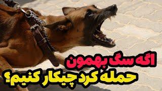 اگه سگ بهمون حمله کرد چیکار کنیم؟ | این ویدیو رو نبین