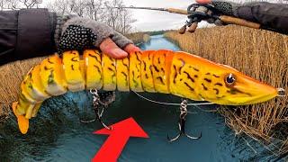 Fishing CRAZY Swimbaits for Northern Pike... 