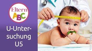 U-Untersuchungen: Was passiert bei der U5? | Baby | Eltern ABC | ELTERN | Elternratgeber