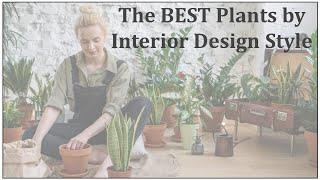 The Best Plants for Different Interior Design Styles