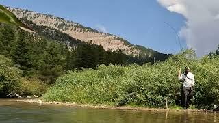 Tenkara Fishing - Back Casting Over Willows Behind You & Side Presentation