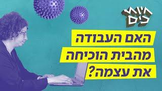 האם עבודה מהבית יעילה יותר מהמשרד?  | חיות כיס