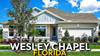 Inside A GORGEOUS New Home For Sale In Tampa With A Bold Color Scheme | Wesley Chapel Florida