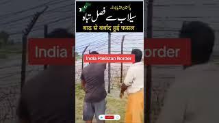 Sailab se fasal tabah #flood #indiaflood #youtubeshorts #irfonic #shorts #short #shortsvideo #yt