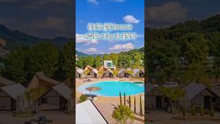 동두천 숲속 오아시스/ 아낌없이주는나무 글램핑 #캠핑 #감성캠핑 #가족여행 #커플여행