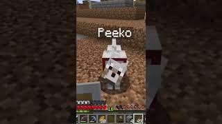 Like for PEEKO #minecraft #survival #awe #dogs #animalrescue #dodo