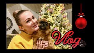 X-MAS VLOG Es herrscht Chaos bei der Weihnachtsdeko