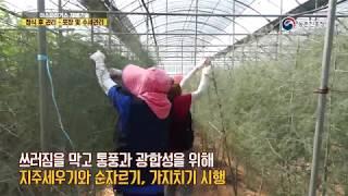 [농촌진흥청 농업기술]수출 아스파라거스 재배기술