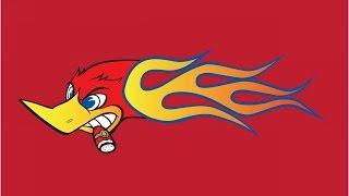 ВУДИ ВУДПЕКЕР ПРИКОЛ: ПОКАЖИ ДЯТЛОМ WOODY WOODPECKER