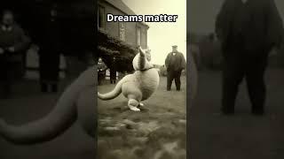 Dreams matter!!! #mem #meme #memes