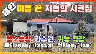 [물건번호2505]대안군 원북면  마을끝 숲속 자연인  시골집 급매 합니다,  딱 2가구만 사는 숲속 농가주택 입니다,  염소키우고 과수원으로 가꾸면 좋은  산골자연인 쉼터 입니다