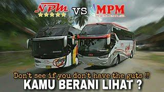 Aksi menegangkan Bus NPM vs Bus MPM || Bus Balapan