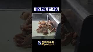 [알디자동화] 머리고기절단기