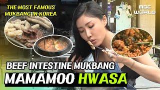 [C.C.] The Most Famous 'BEEF INTESTINE MUKBANG' In Korea #MAMAMOO #HWASA