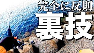 プロでもないのに毎日青物が釣れてる自己流の裏技w