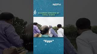 Mahua Moitra Viral Video | Video Of TMC's Mahua Moitra Speaking About Eggs Viral With False Claim
