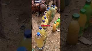Natural red clay hair style of hamer tribe #africantribe #shortvideo #short