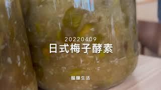 2022 日式梅子酵素