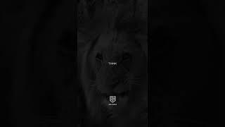 Own Your Power – Rise & Hustle! #shorts