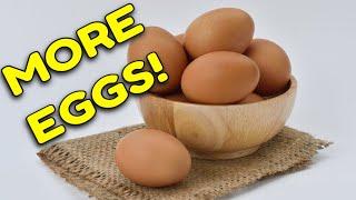 GET MORE EGGSINCREASING WINTER EGG PRODUCTION    #getmoreeggs #eggproduction #backyardchickens