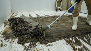 The Incredible Recovery of a Discarded Rug: From Flood-Damaged to Beautifully Restored!