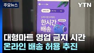 대형마트 영업 금지 시간 때 온라인 배송 허용 추진 / YTN