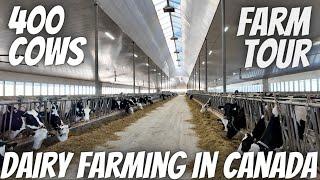 New Mars Dairy Milking 400 Cows In Alberta Canada